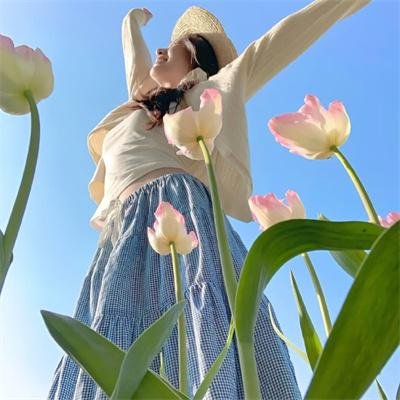 浪客扳手侠